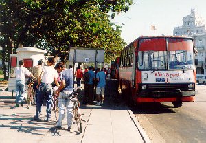 file de cyclistes devant le bus